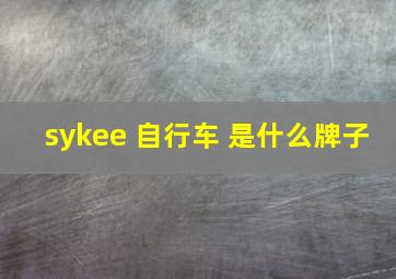 sykee 自行车 是什么牌子